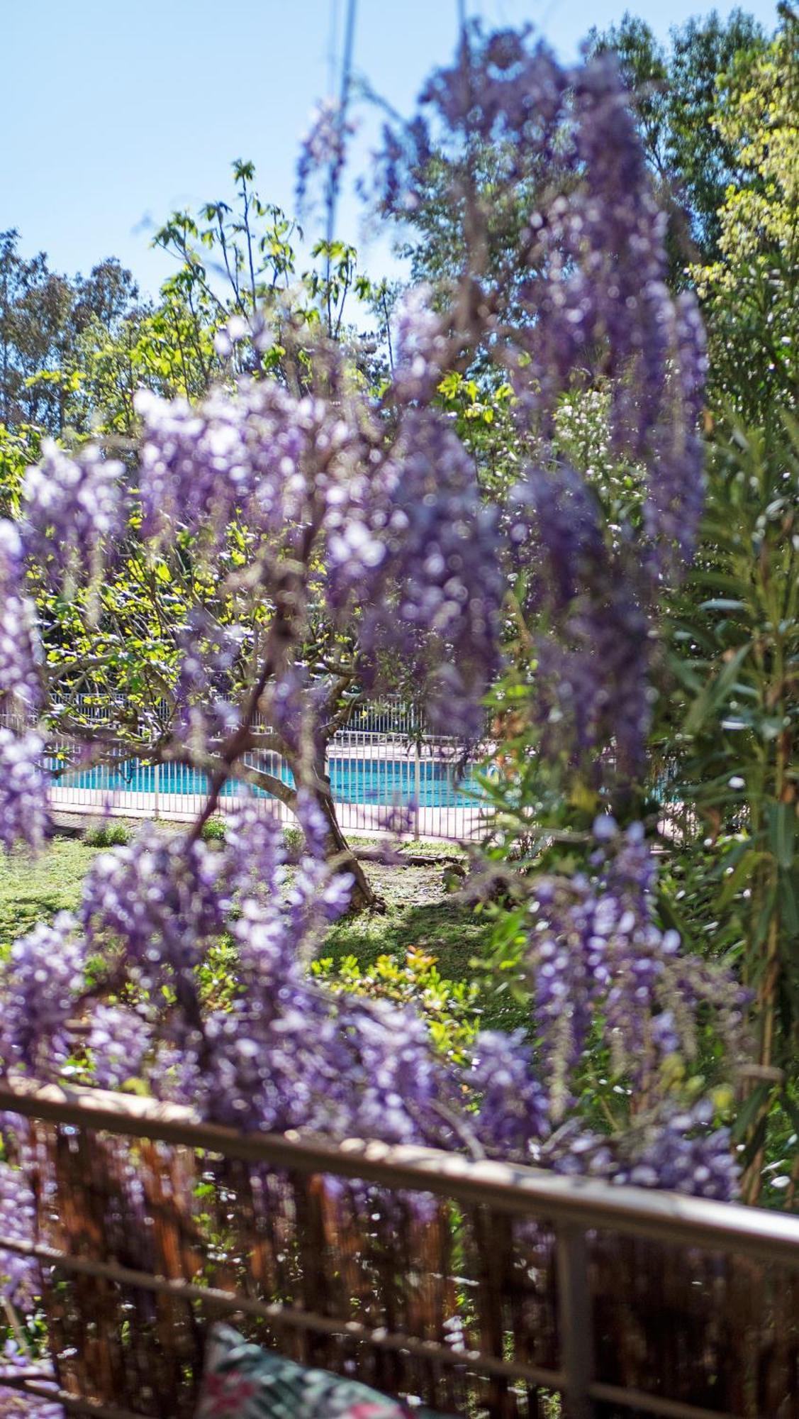 Casa Laura -Parking - Pool Lägenhet Saint-Tropez Exteriör bild